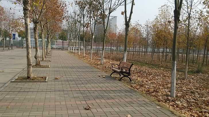 曼彻斯特大学花费