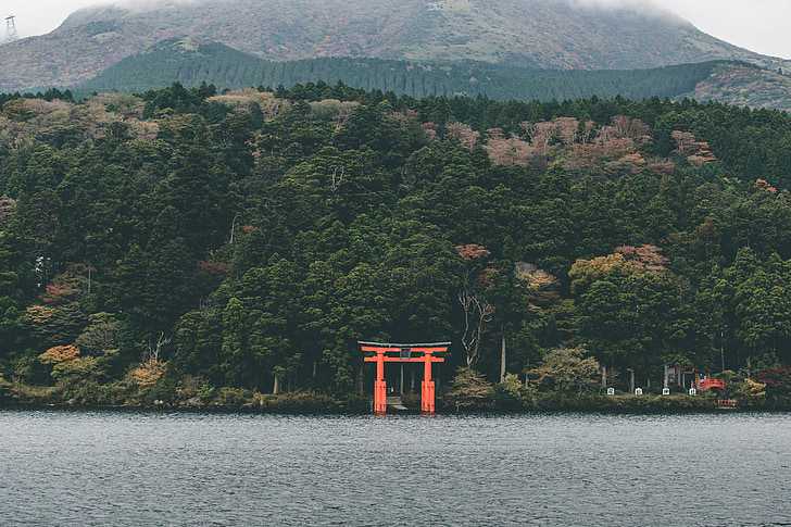 埃塞克斯大学怎么样