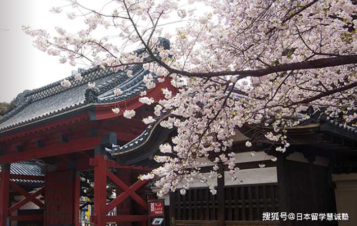 慧诚酱带你看日本大学院SGU项目之MBA（上）