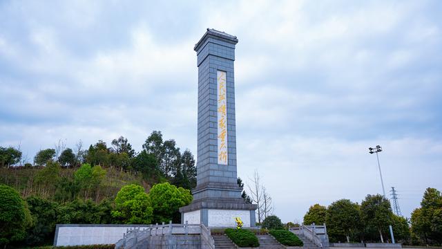 静冈大学世界排名第几