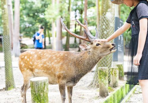 田纳西州立大学学费一年多少